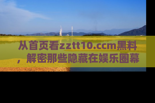 从首页看zztt10.ccm黑料，解密那些隐藏在娱乐圈幕后的丑闻故事！