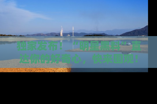 独家发布！“明星黑料”直达你的好奇心，快来围观！