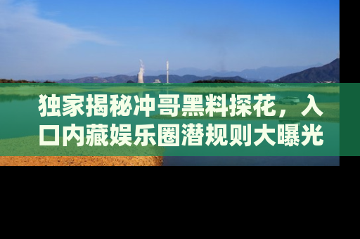 独家揭秘冲哥黑料探花，入口内藏娱乐圈潜规则大曝光