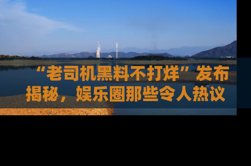 “老司机黑料不打烊”发布揭秘，娱乐圈那些令人热议的黑暗秘密！
