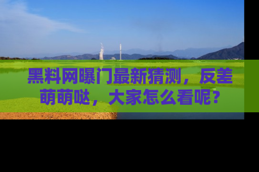 黑料网曝门最新猜测，反差萌萌哒，大家怎么看呢？