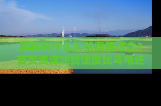 黑料网什么浏览器最适合？首页资源加载速度比乌龟还慢的体验真心吐槽！
