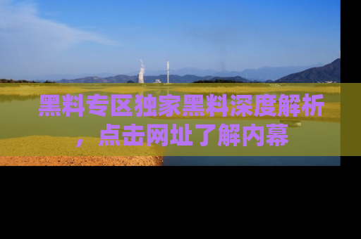 黑料专区独家黑料深度解析，点击网址了解内幕