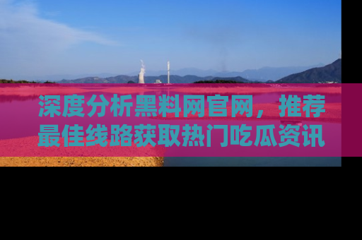 深度分析黑料网官网，推荐最佳线路获取热门吃瓜资讯