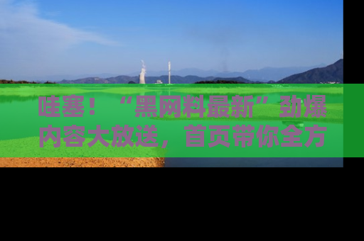 哇塞!“黑网料最新”劲爆内容大放送,首页带你全方位了解哦,小可爱们