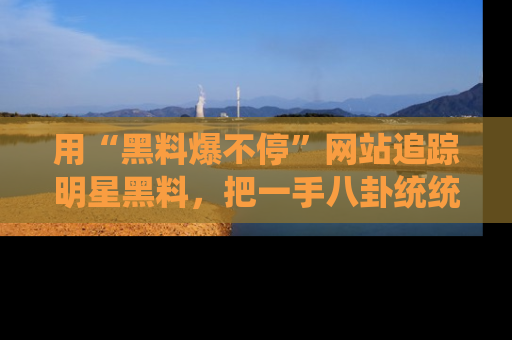 用“黑料爆不停”网站追踪明星黑料,把一手八卦统统收进你的后宫中!
