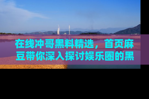 在线冲哥黑料精选,首页麻豆带你深入探讨娱乐圈的黑暗面