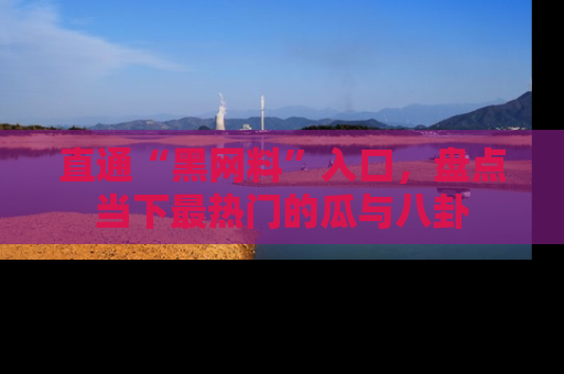 直通“黑网料”入口,盘点当下最热门的瓜与八卦