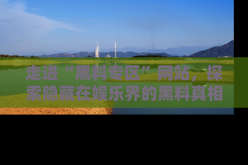 走进“黑料专区”网站,探索隐藏在娱乐界的黑料真相