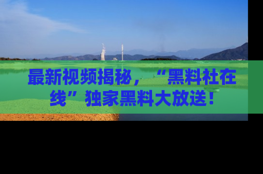 最新视频揭秘,“黑料社在线”独家黑料大放送!